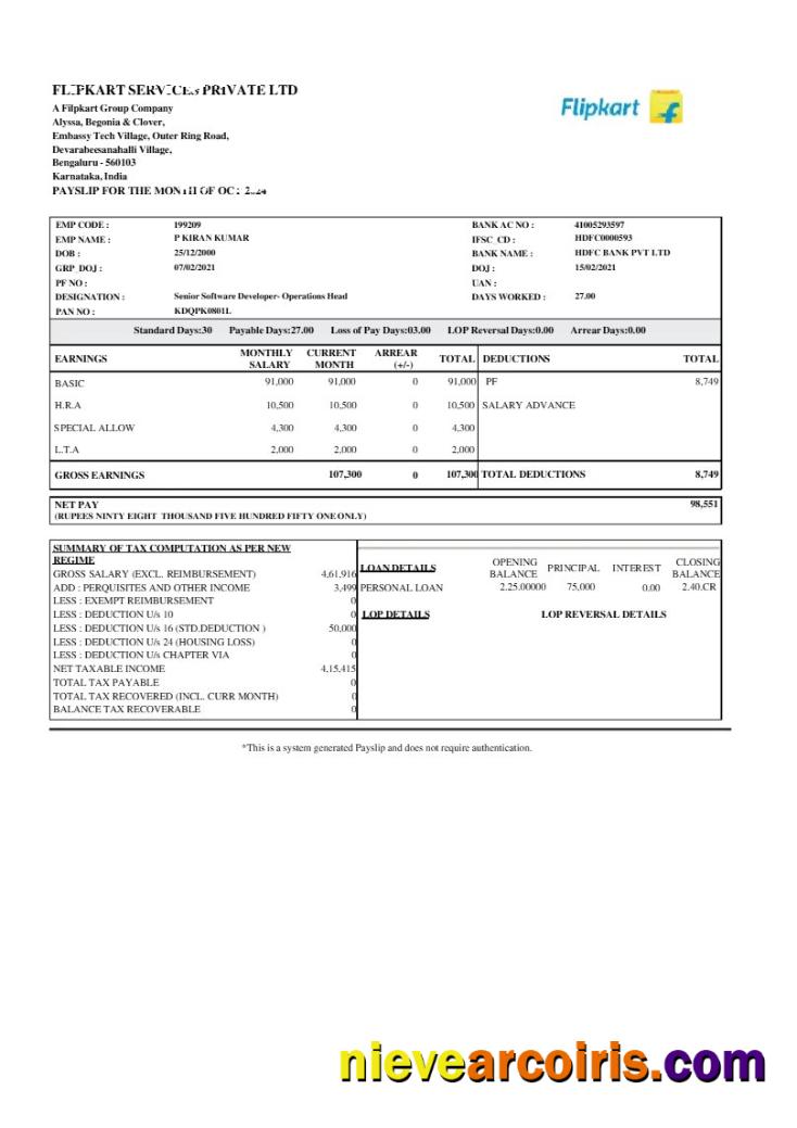 Filpkart Services payslip
